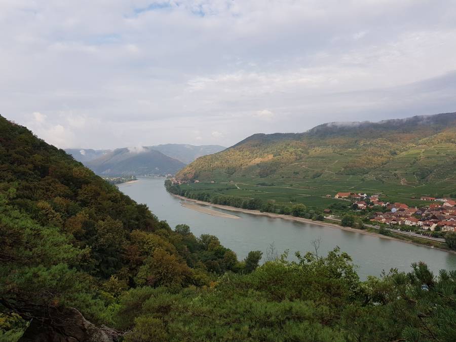 20180825_075351.jpg