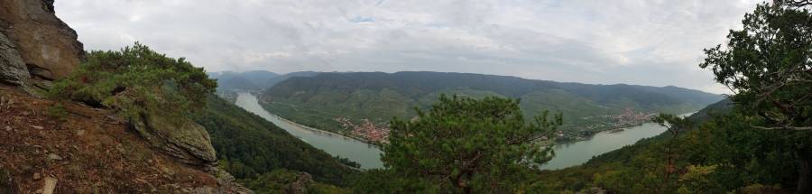 20180825_082459.jpg 20180825_082459.jpg