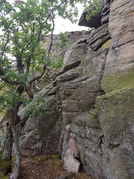 20180825_083945.jpg