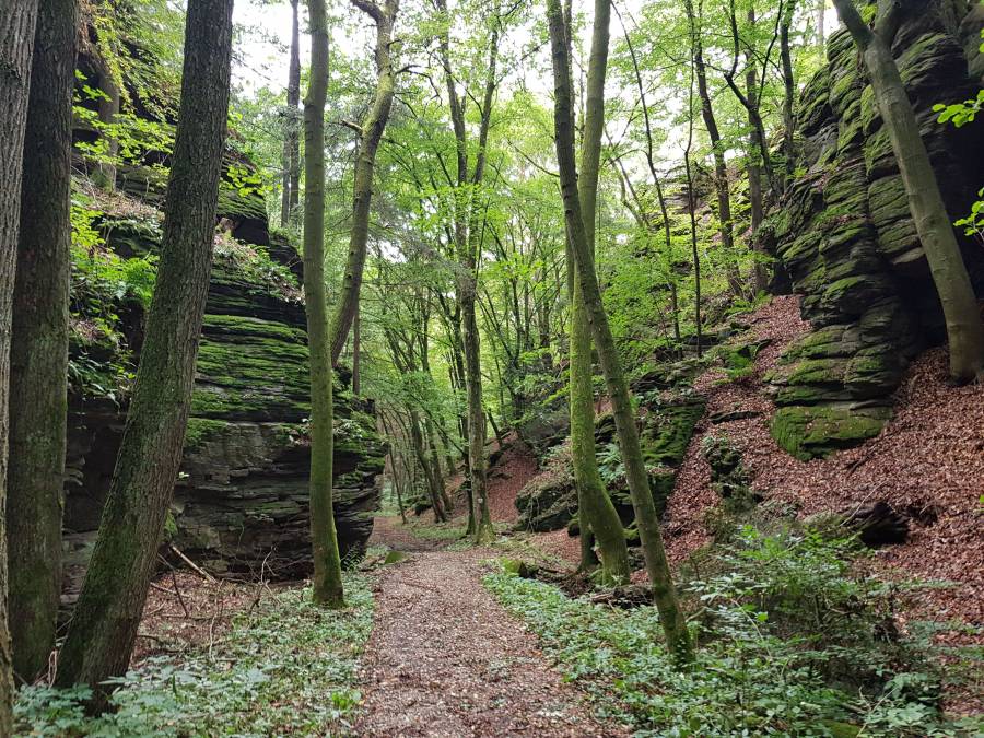 20180825_104422.jpg