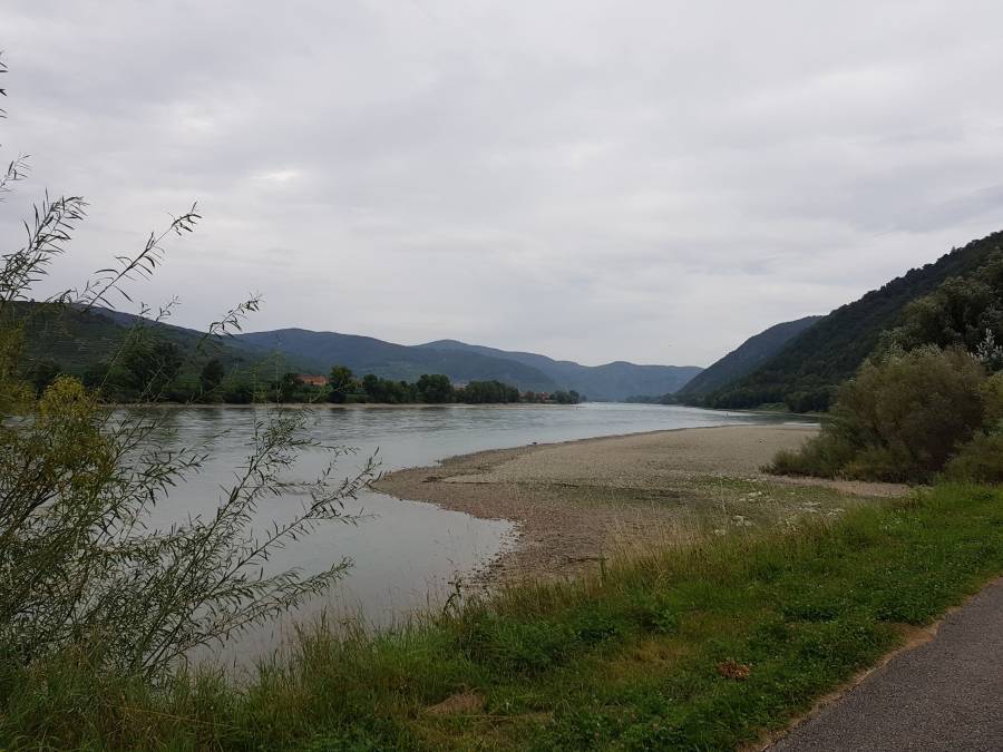 20180825_110109.jpg