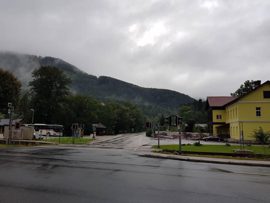 20180901_093701.jpg