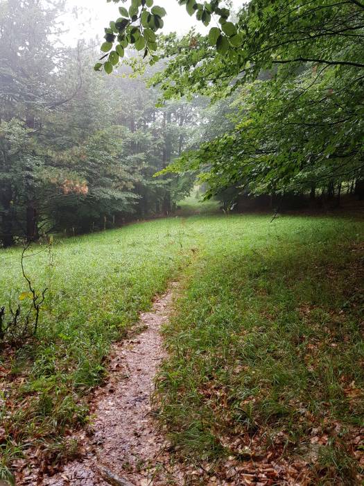 20180901_104958.jpg