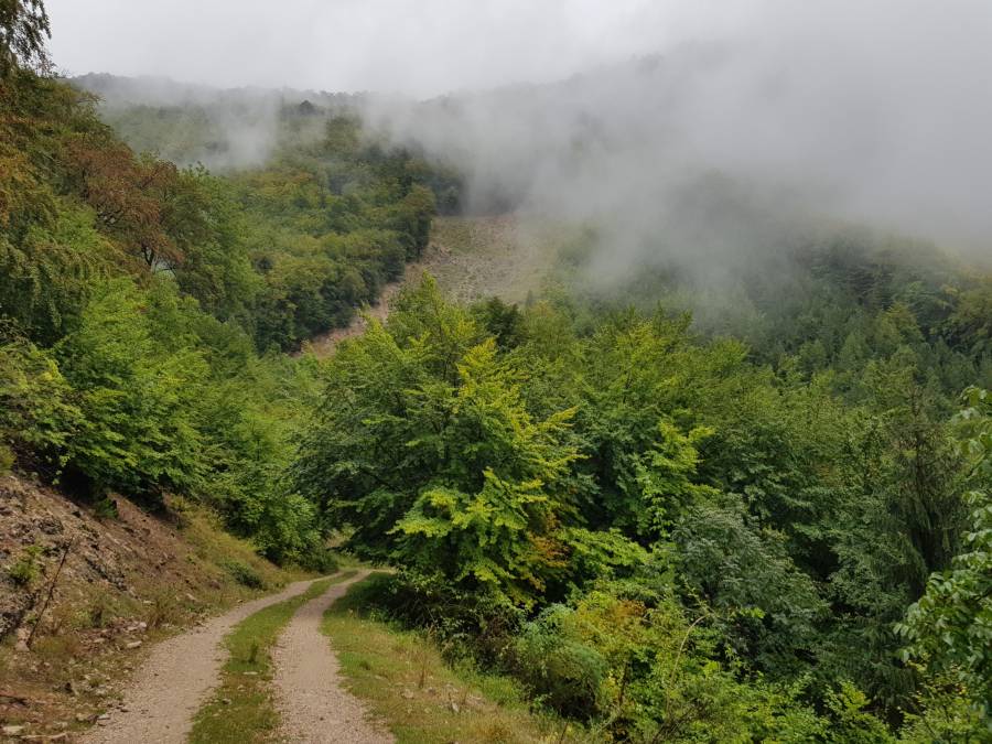 20180901_112205.jpg