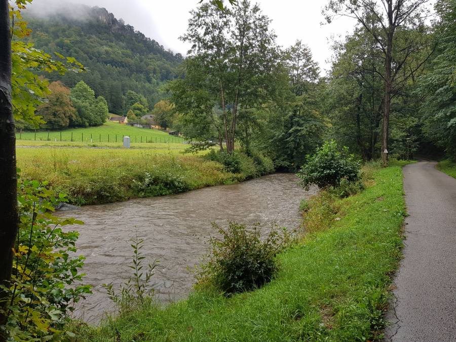 20180901_114058.jpg