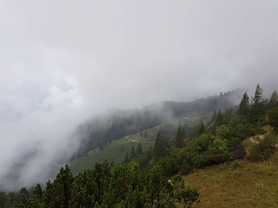 20180908_103714.jpg