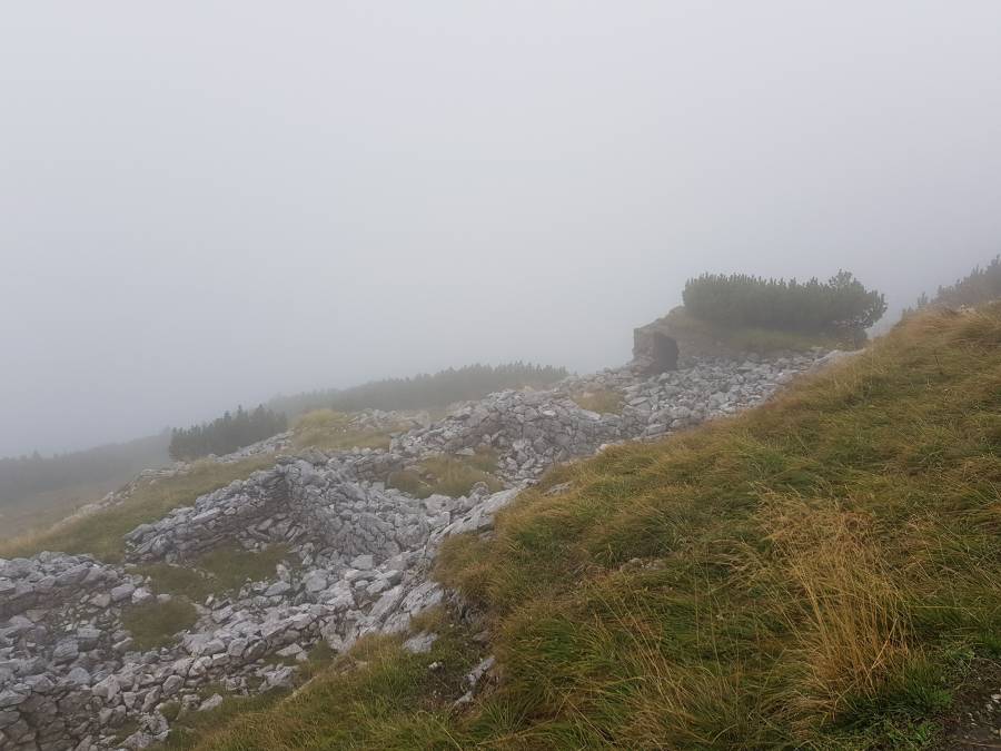 20180908_111544.jpg