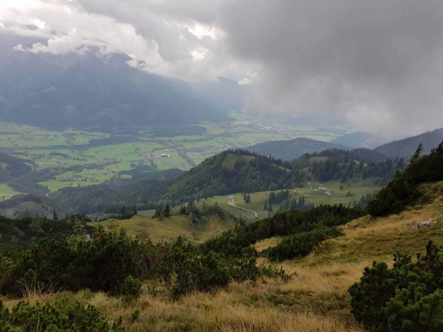 20180908_120727.jpg