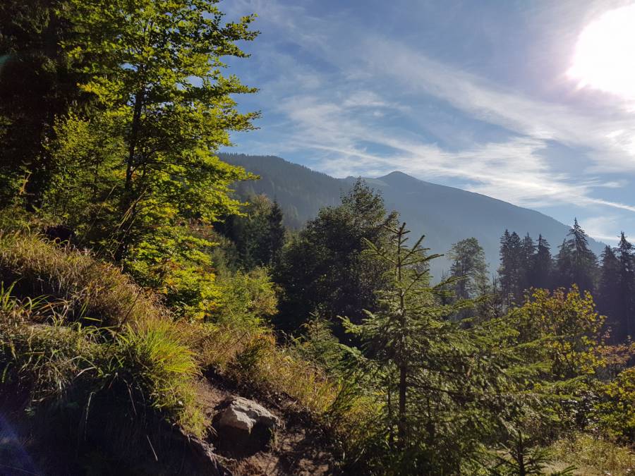 20180909_092015.jpg