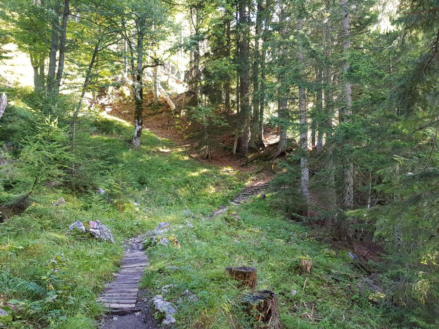 20180909_093727.jpg