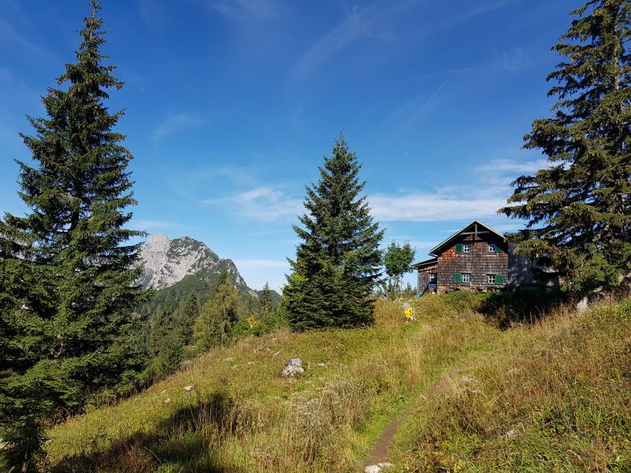 20180909_102052.jpg