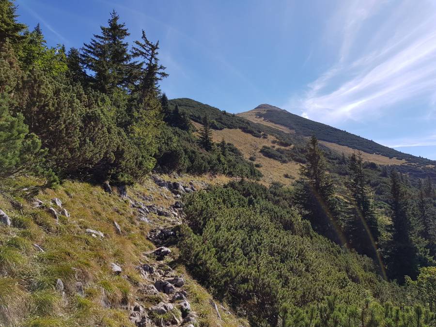 20180909_104647.jpg