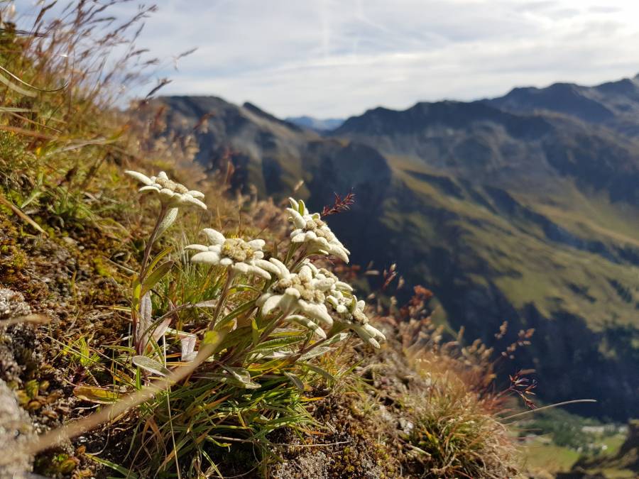 20180911_105046.jpg