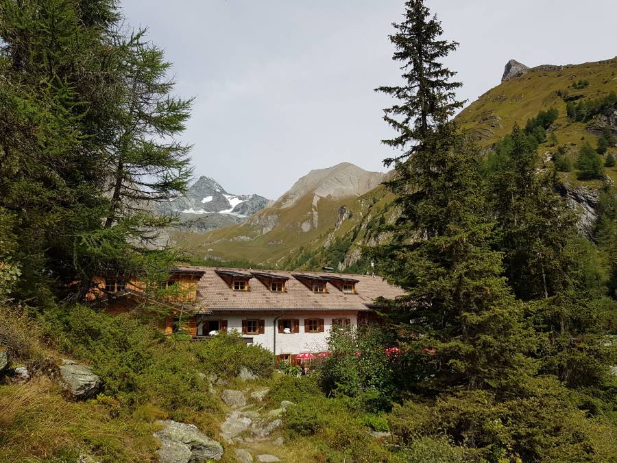 20180911_130948.jpg