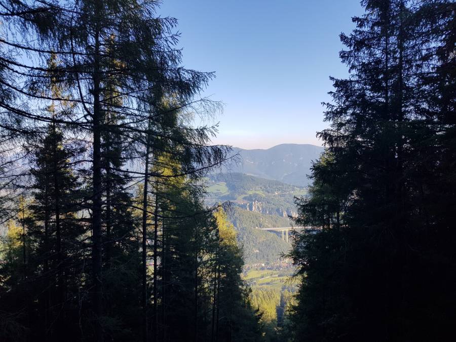 20180918_085834.jpg