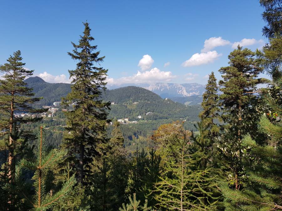 20180918_115543.jpg
