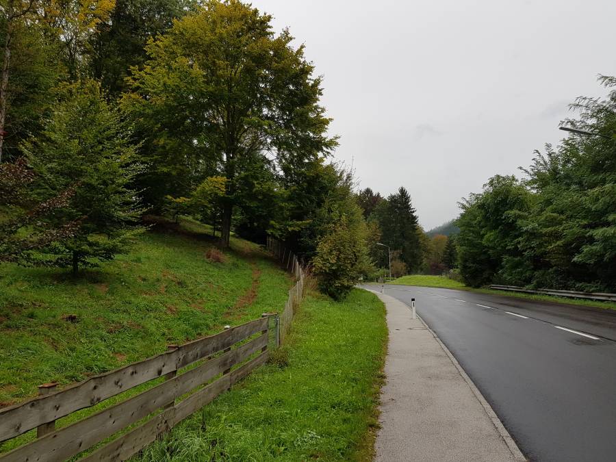 20180923_093848.jpg