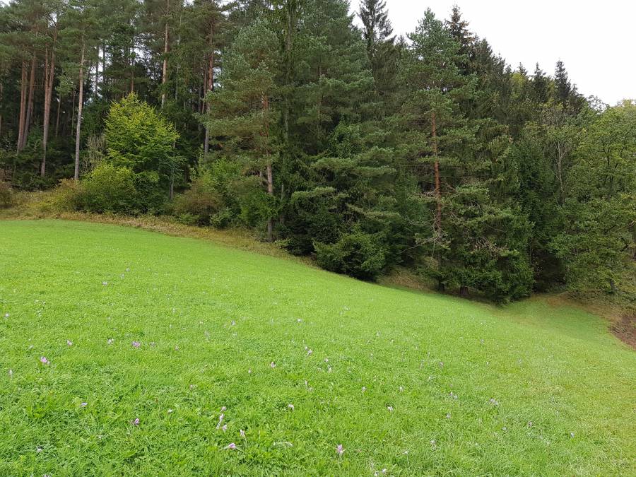 20180923_095202.jpg
