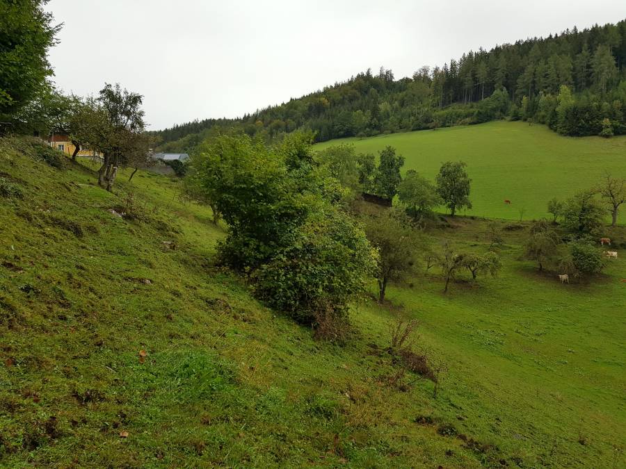 20180923_100611.jpg