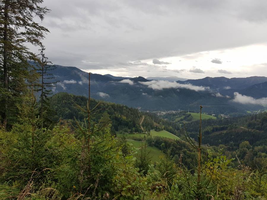 20180923_102337.jpg