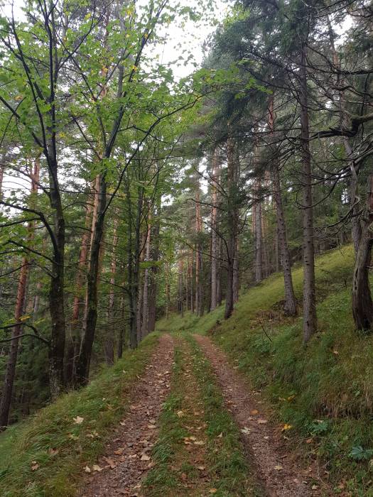 20180923_102538.jpg
