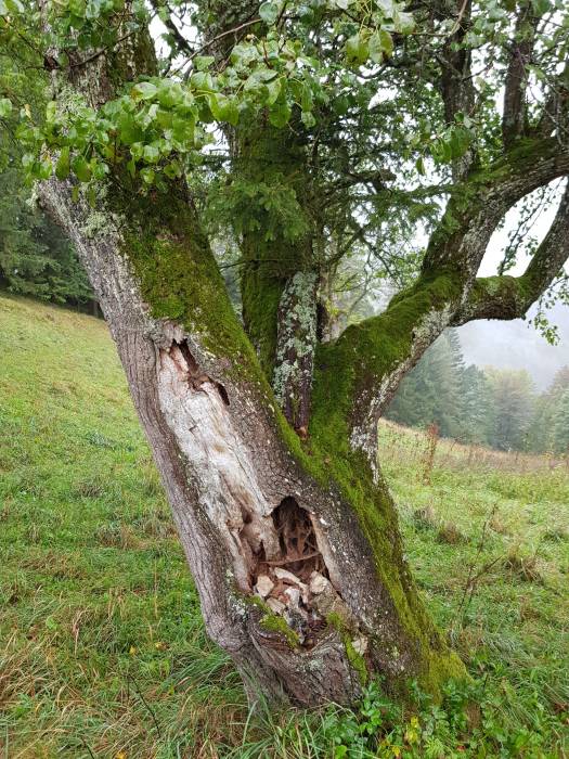 20180923_125943.jpg