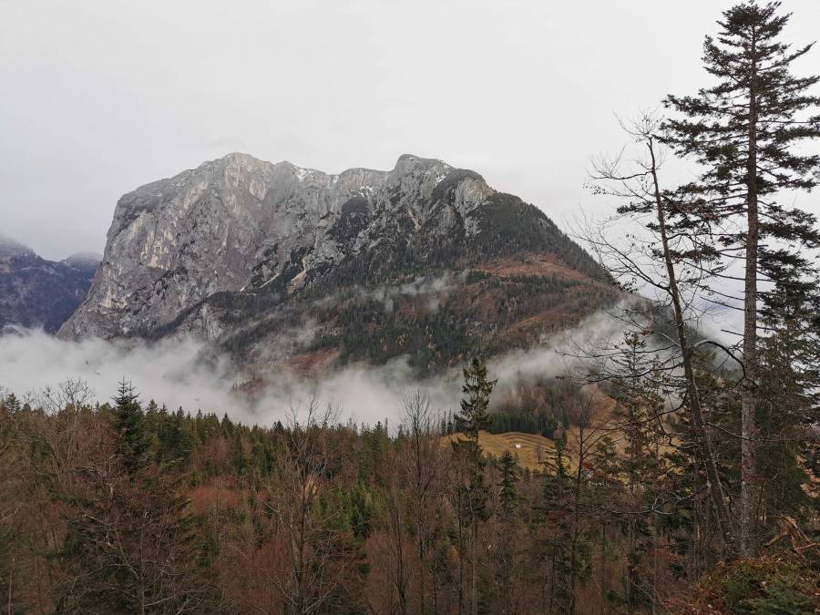img_20191129_094846.jpg