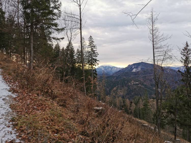 img_20191214_090105.jpg