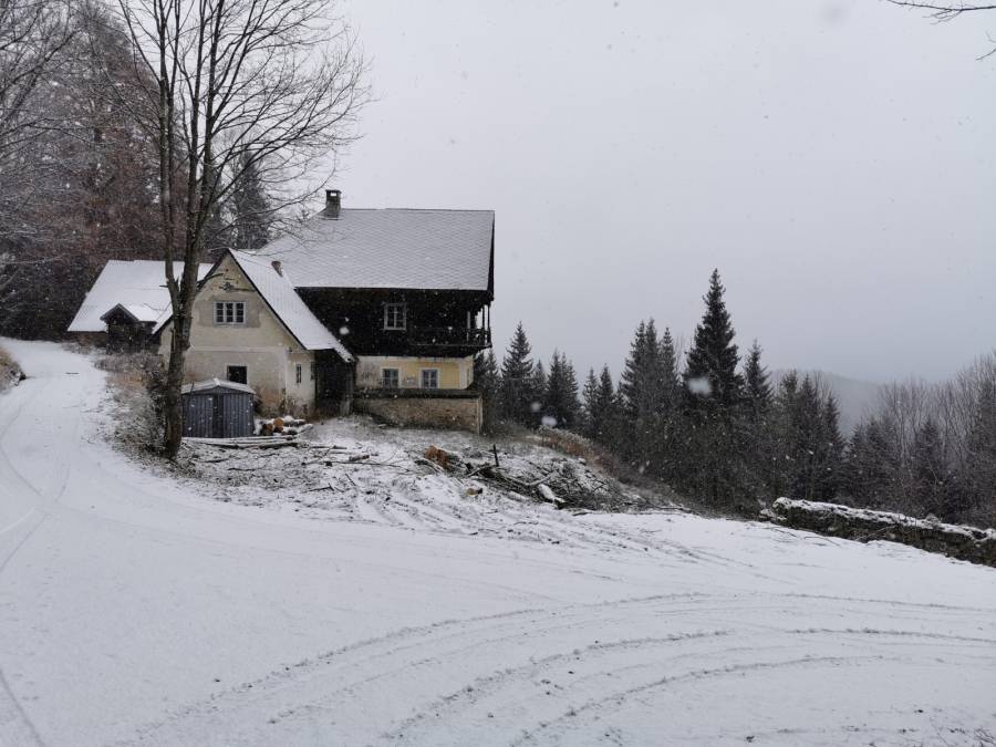 img_20191214_111221.jpg