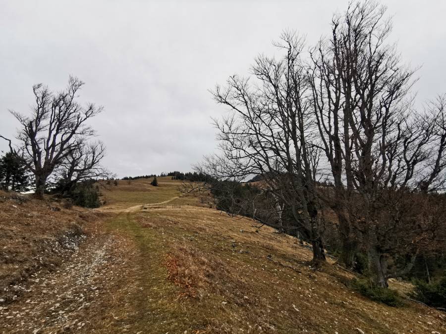 img_20191221_103701.jpg