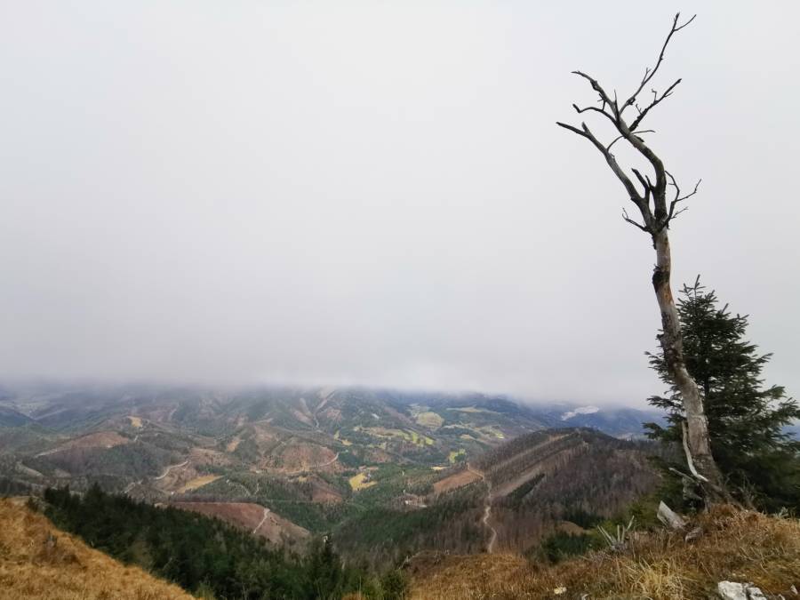 img_20191221_110644.jpg