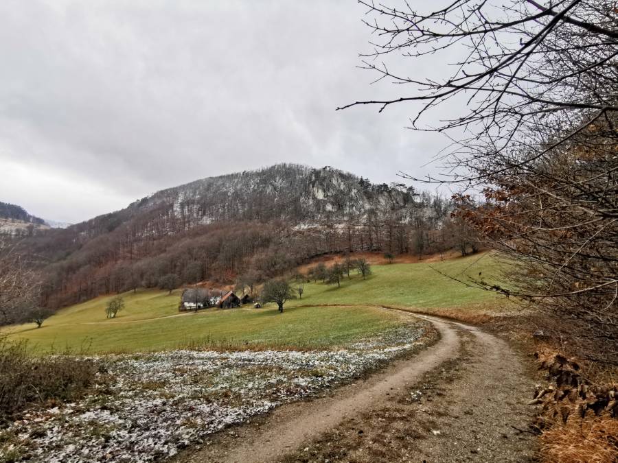 img_20191226_110601.jpg