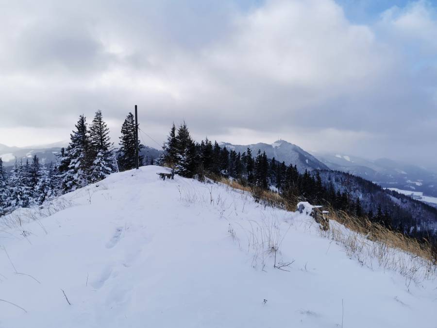 img_20191228_124930.jpg