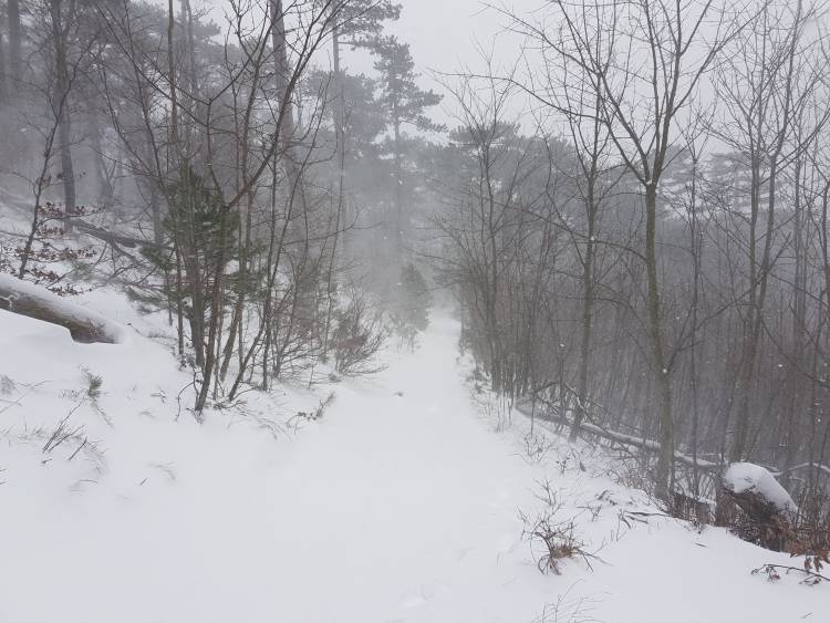 20190105_113247.jpg