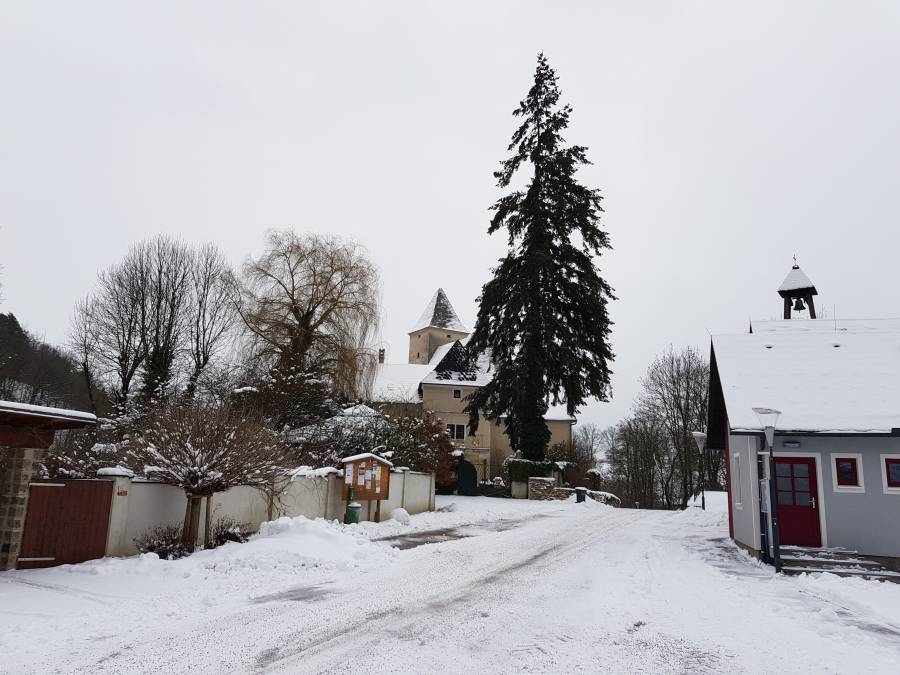 20190112_090949.jpg