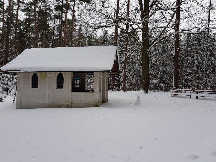 20190112_093934.jpg