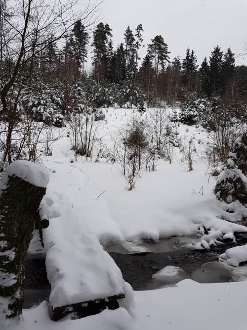 20190112_095354.jpg