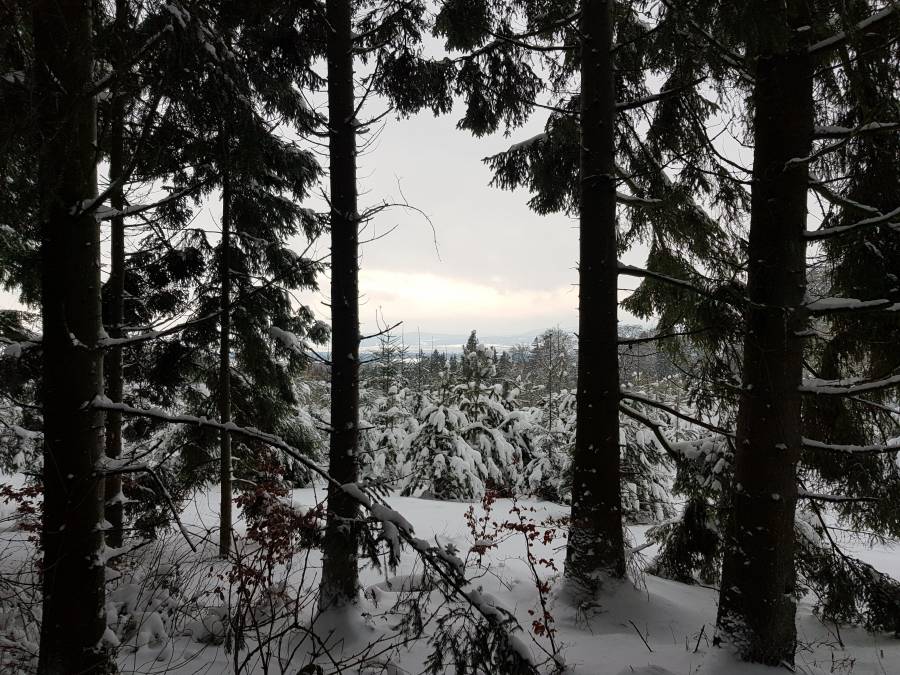 20190112_115512.jpg