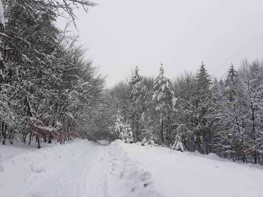20190112_142749.jpg