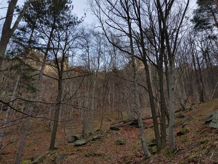 20190119_111914.jpg