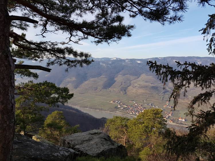 20190119_114552.jpg