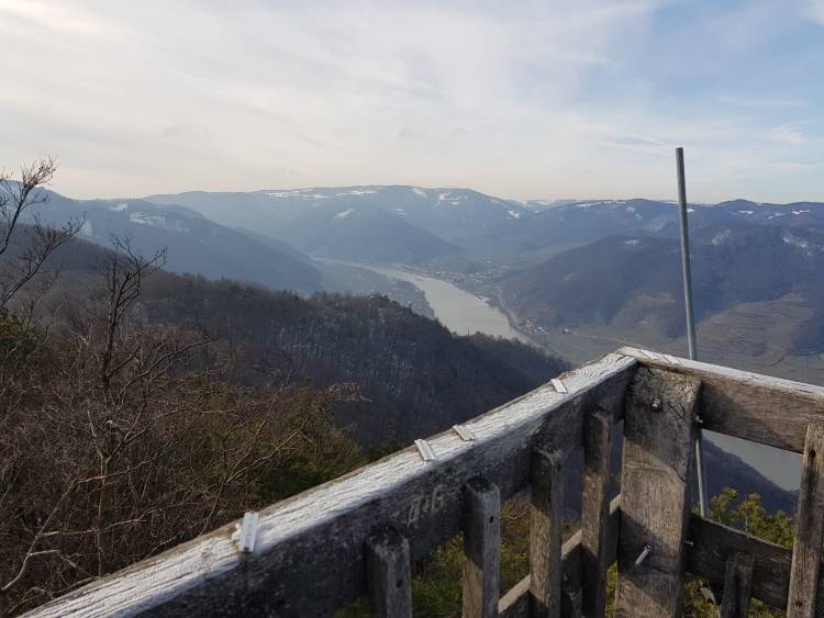 20190119_120438.jpg