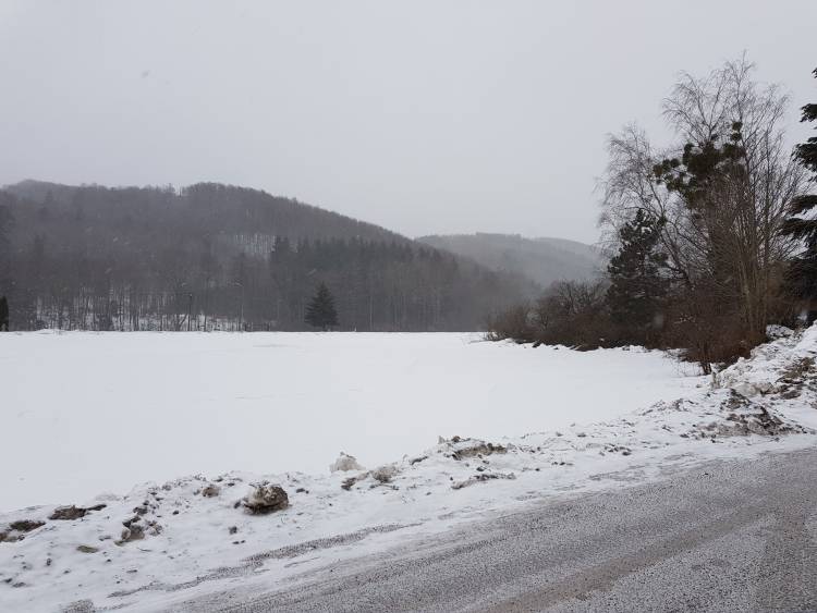 20190126_094817.jpg