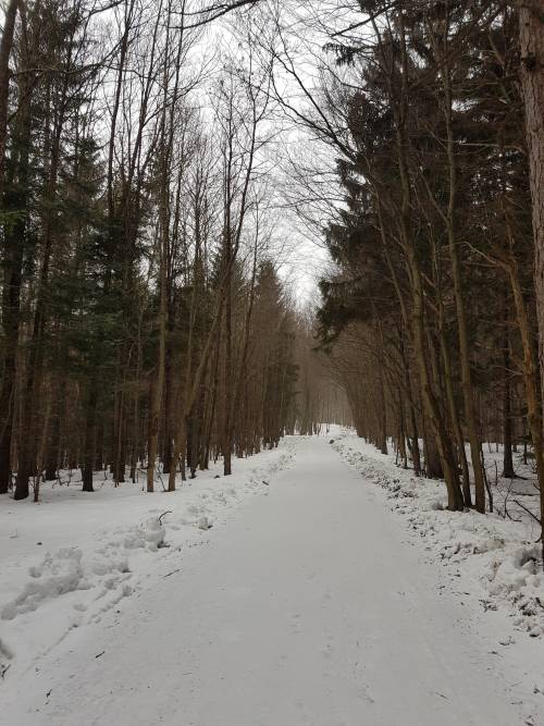 20190126_100243.jpg