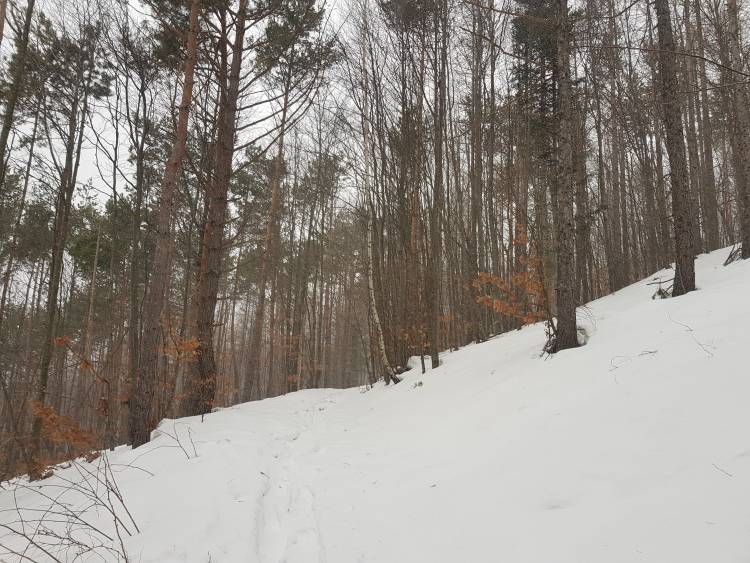 20190126_104506.jpg