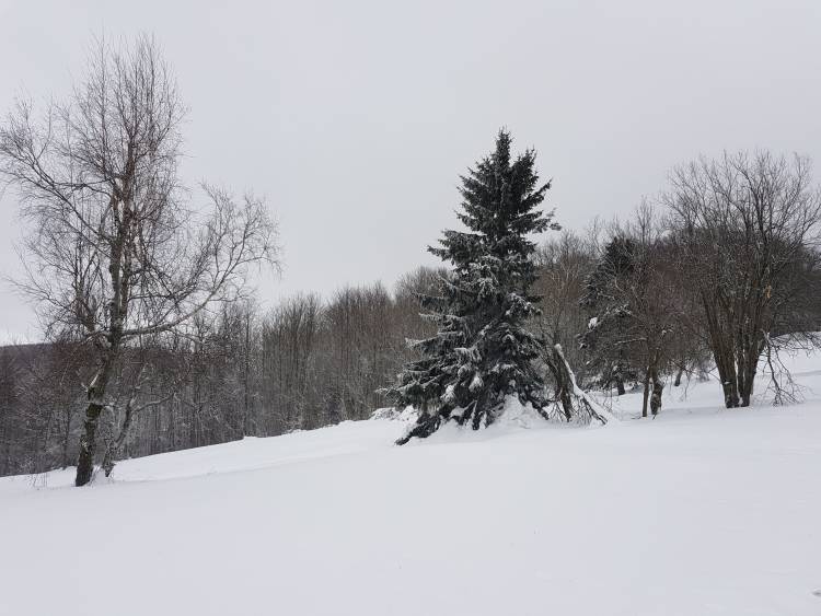 20190126_114746.jpg