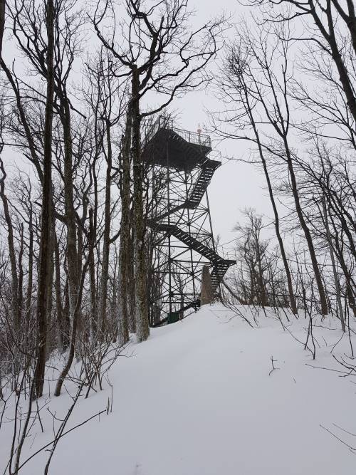 20190126_115822.jpg