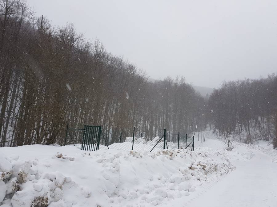 20190126_131604.jpg