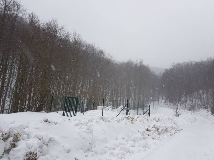 20190126_131604.jpg