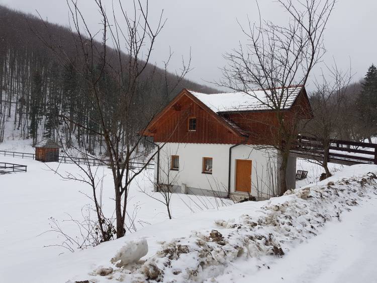 20190126_134331.jpg